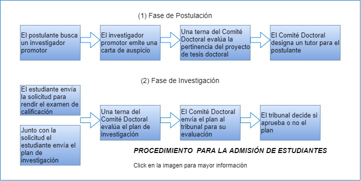 Estructura Curricular